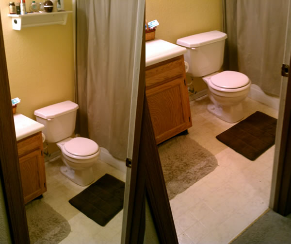 Delta Corrente Toilet Install - Before Photo